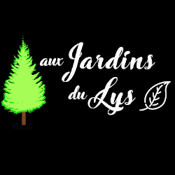 Photo d'illustration 1 sur 2
