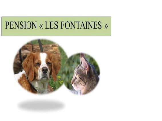 Photo d'illustration 2 sur 18