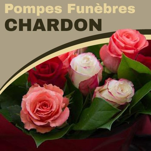 Photo d'illustration 2 sur 8