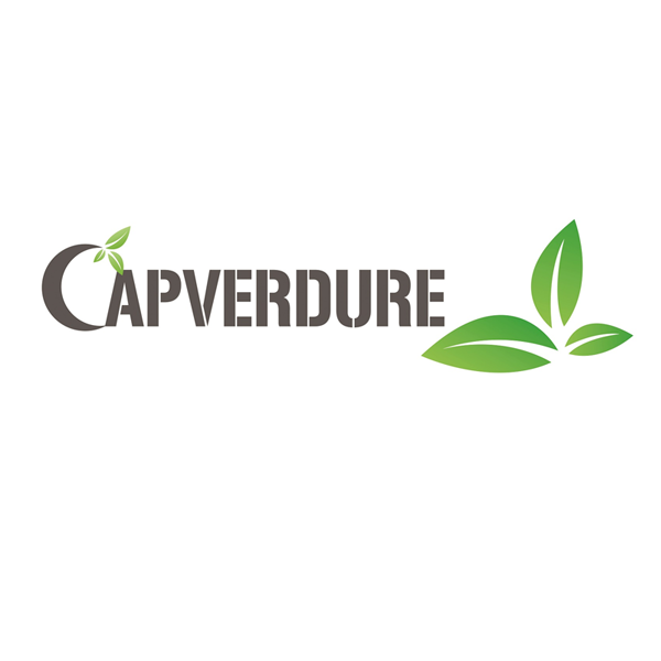Photo d'illustration 1 sur 20