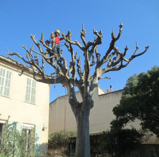 Photo d'illustration 2 sur 5