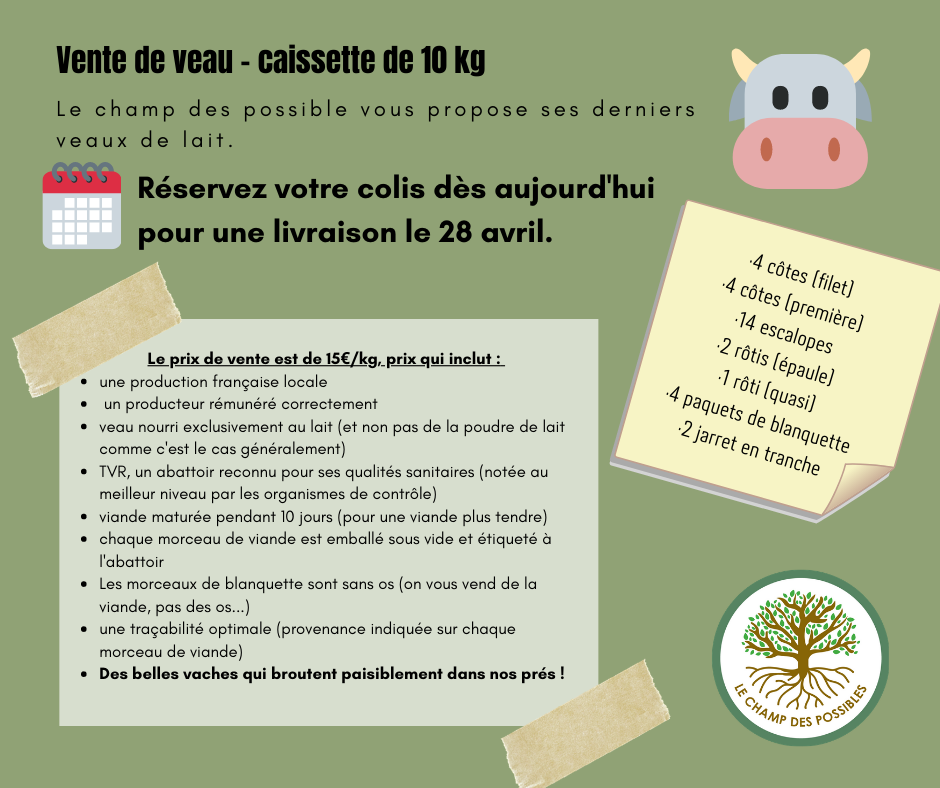 Photo d'illustration 2 sur 3