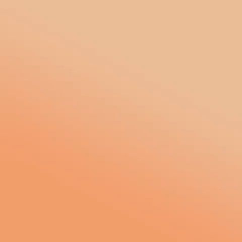 Photo d'illustration 4 sur 10