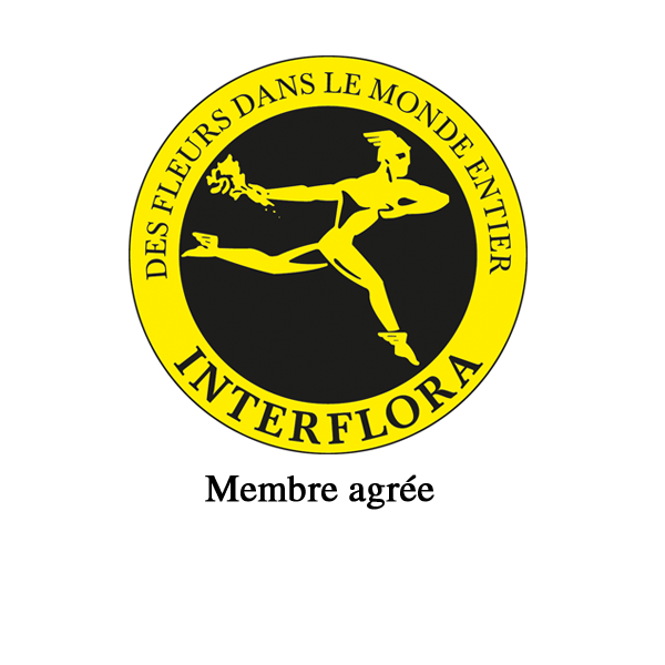 Photo d'illustration 1 sur 1