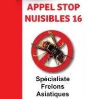 Photo d'illustration 1 sur 3