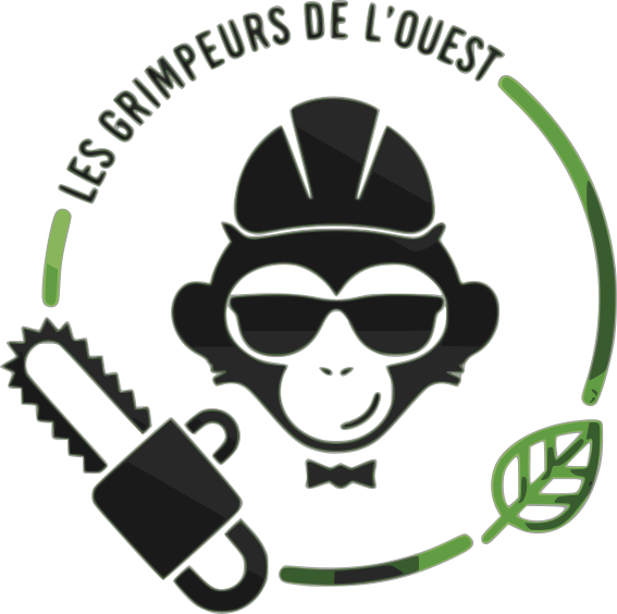 Photo d'illustration 4 sur 13