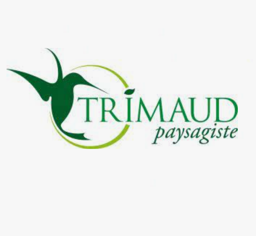 Photo d'illustration 1 sur 4