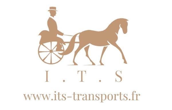 Photo d'illustration 1 sur 11
