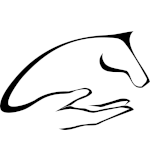 Photo d'illustration 3 sur 3