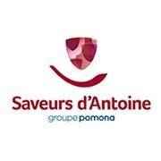 Photo d'illustration 1 sur 7