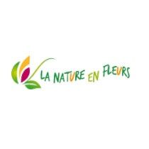 Photo d'illustration 1 sur 27