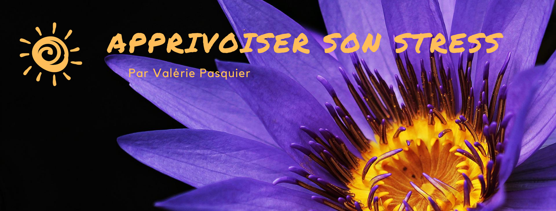 Photo d'illustration 2 sur 8