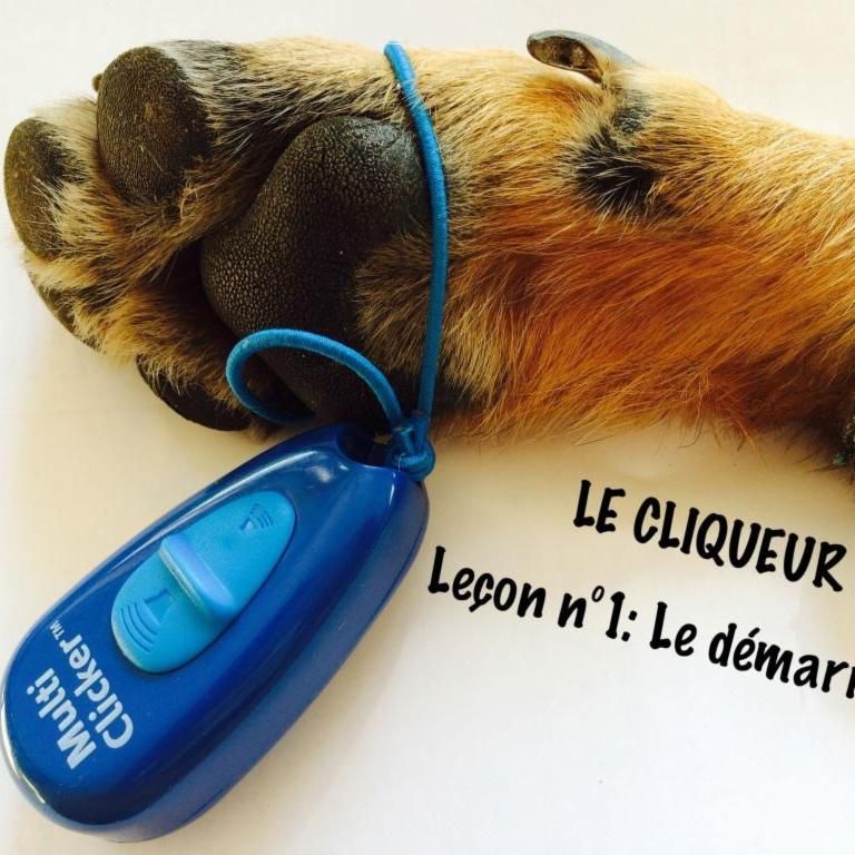 Photo d'illustration 2 sur 9