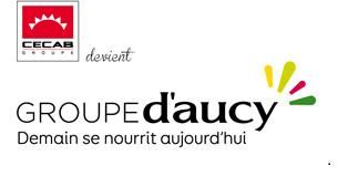 Photo d'illustration 4 sur 14