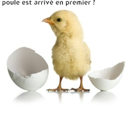 Photo d'illustration 3 sur 7