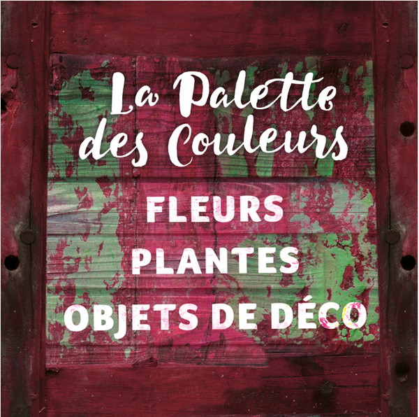 Photo d'illustration 1 sur 7