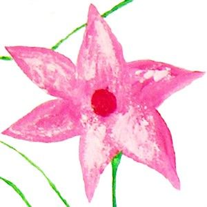 Photo d'illustration 1 sur 2