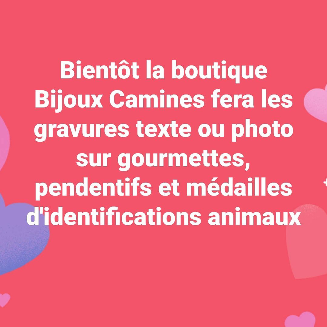 Photo d'illustration 4 sur 36