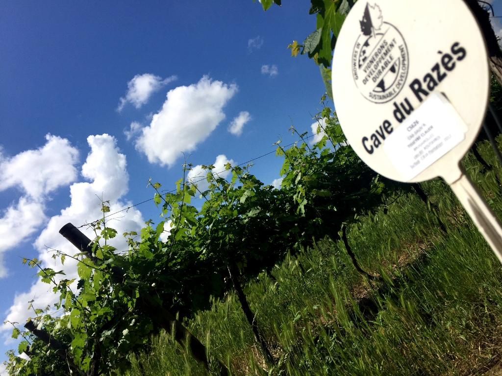 Photo d'illustration 3 sur 4