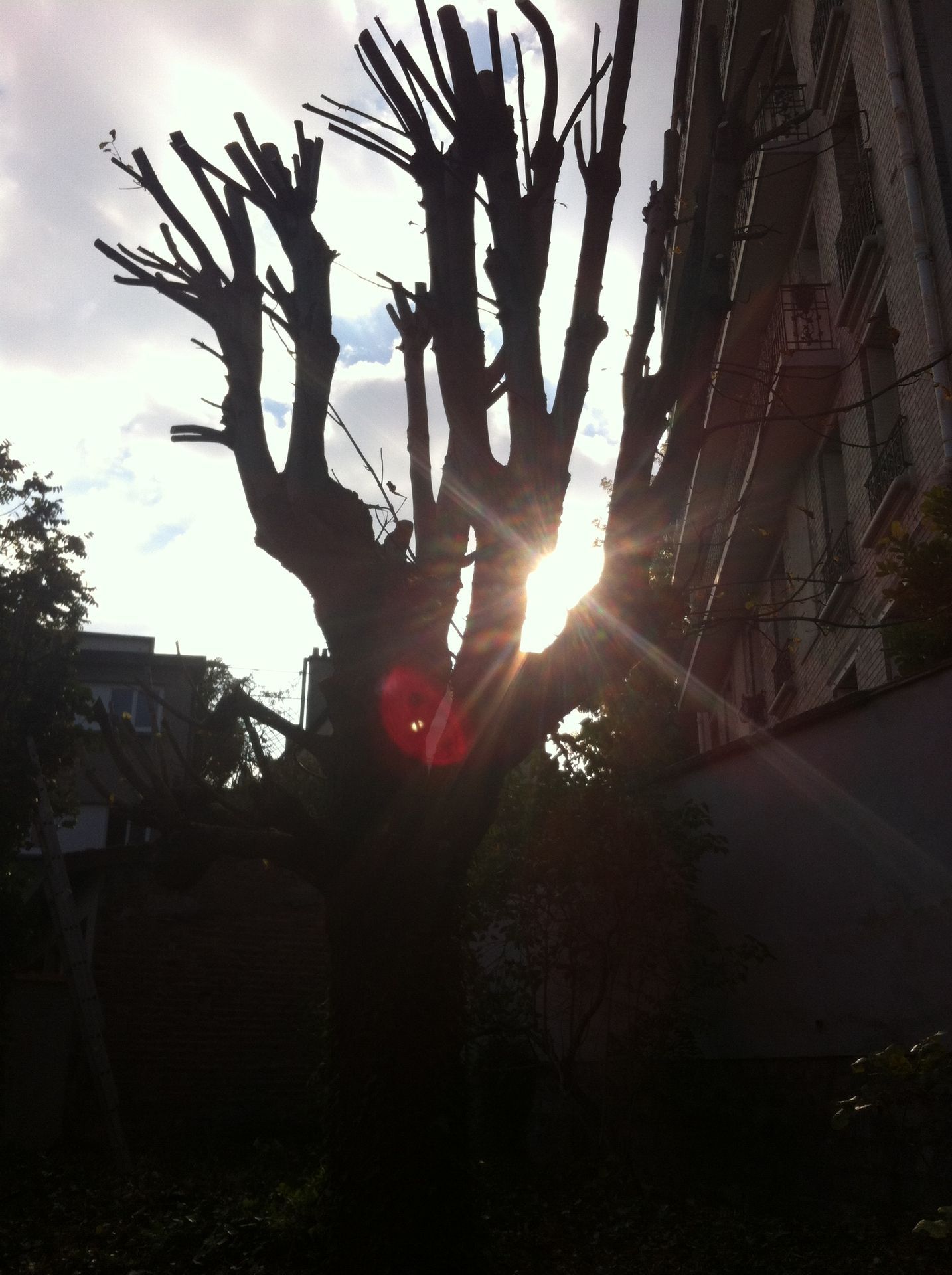 Photo d'illustration 3 sur 28
