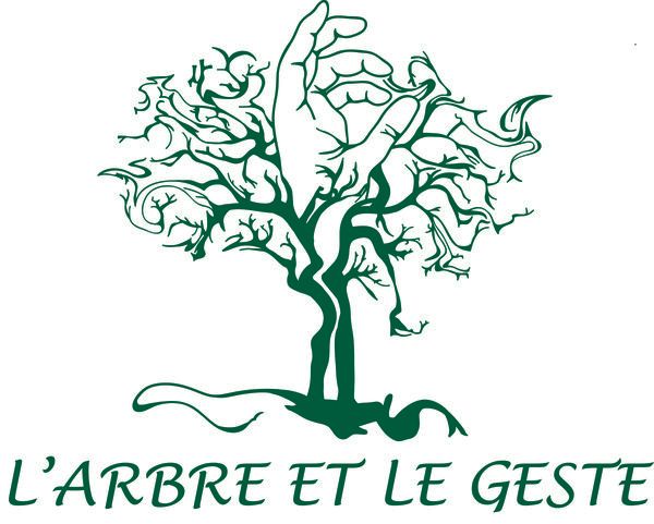Photo d'illustration 1 sur 3