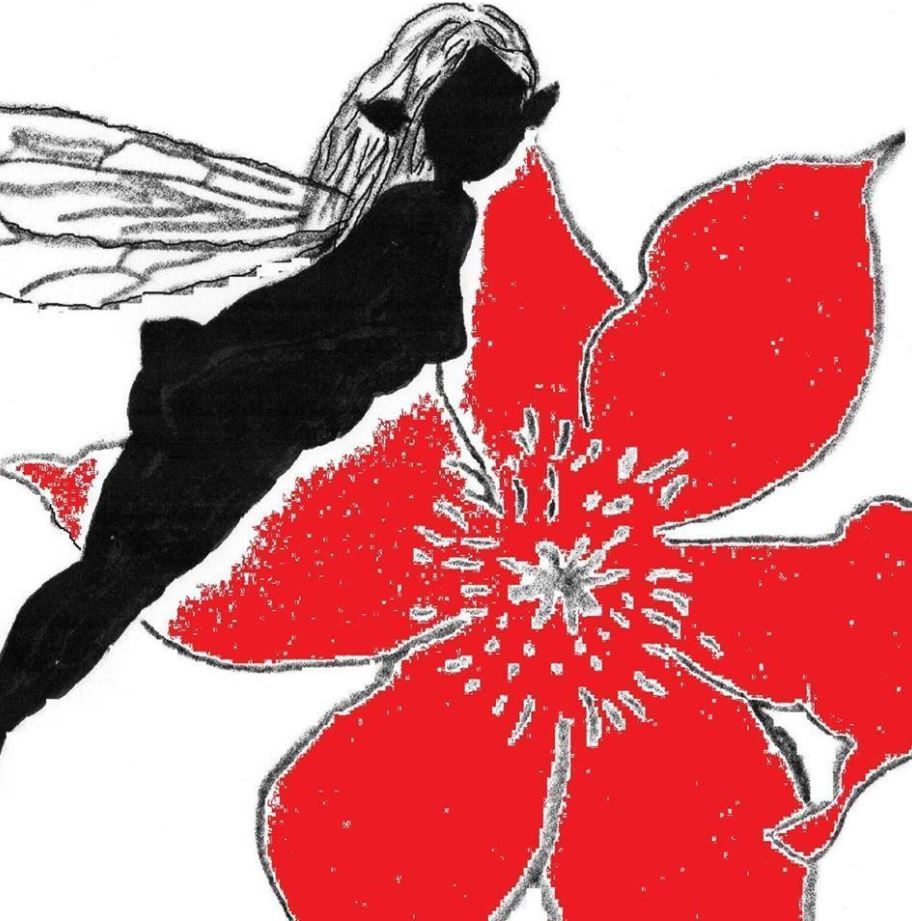 Photo d'illustration 1 sur 1