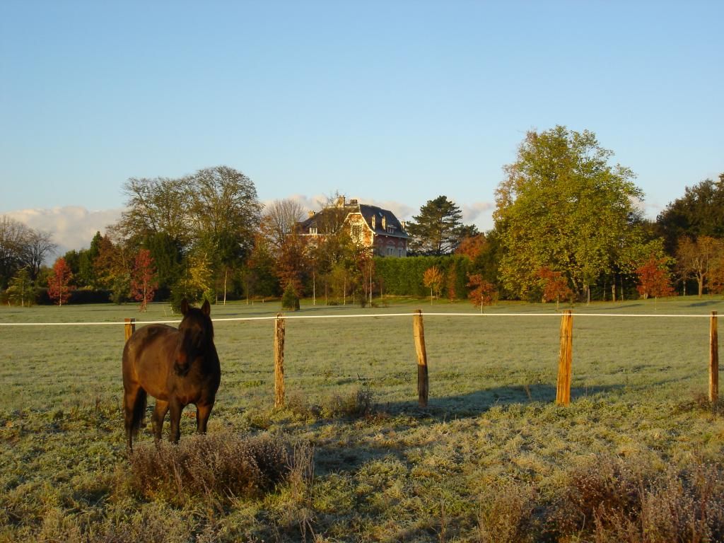 Photo d'illustration 4 sur 9