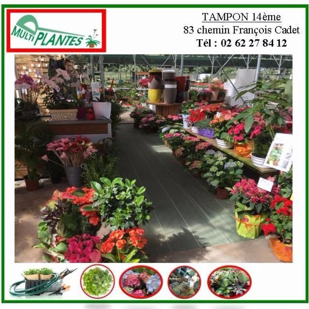 Photo d'illustration 4 sur 7