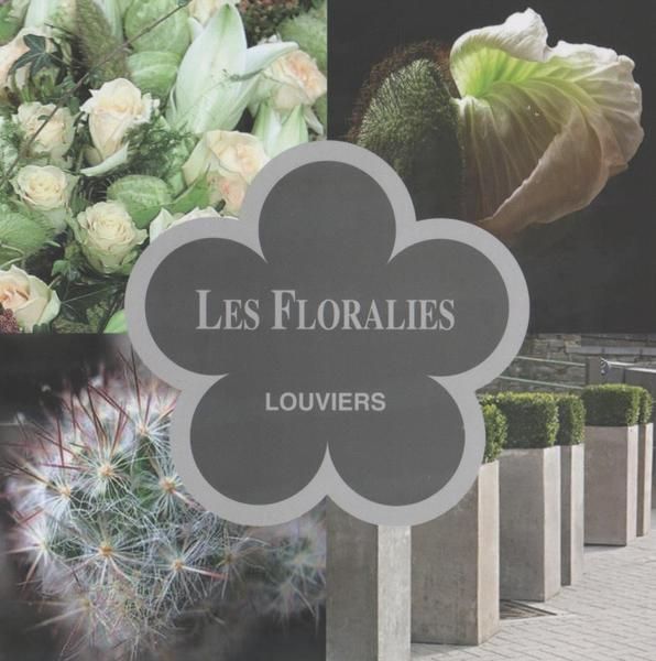 Photo d'illustration 1 sur 13