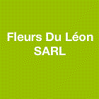 Photo d'illustration 1 sur 10