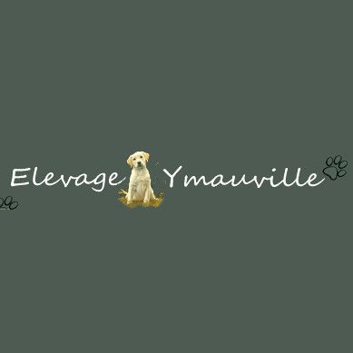 Photo d'illustration 1 sur 9