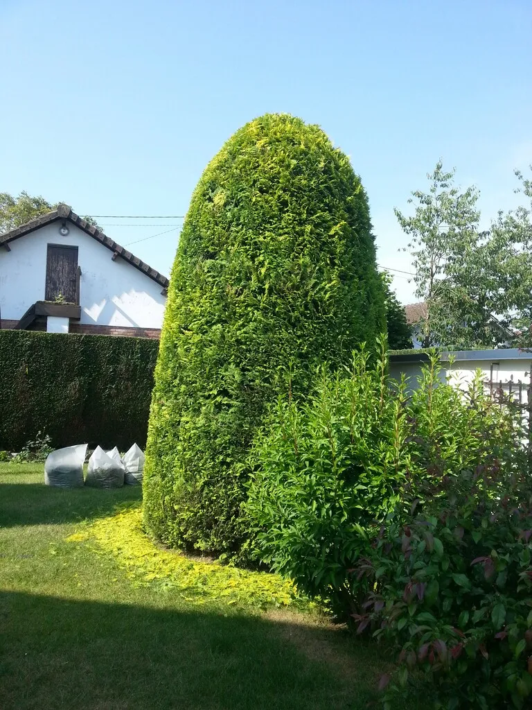 Photo d'illustration 2 sur 5