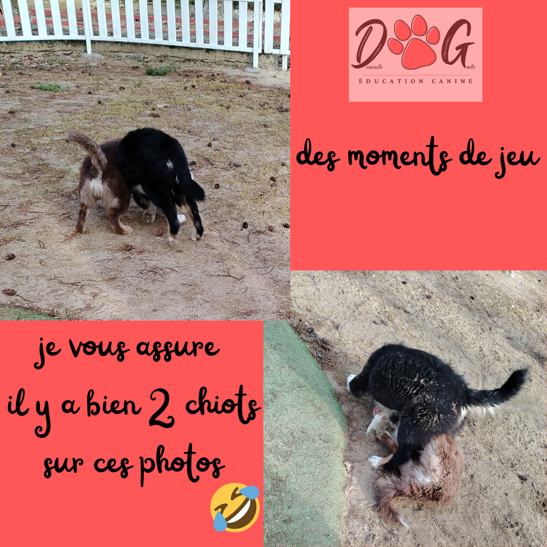 Photo d'illustration 4 sur 17