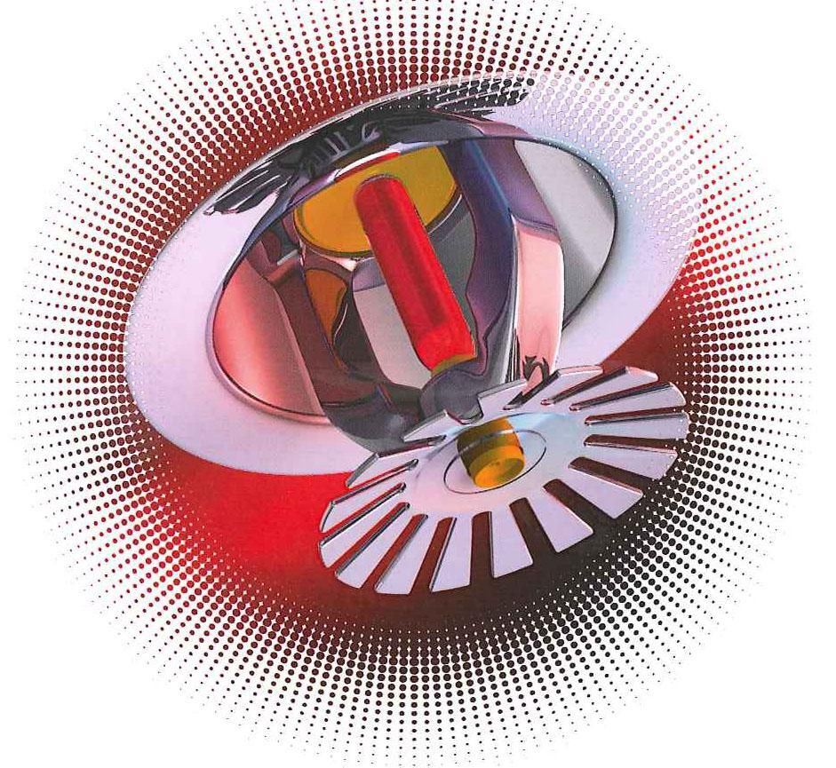 Photo d'illustration 3 sur 11