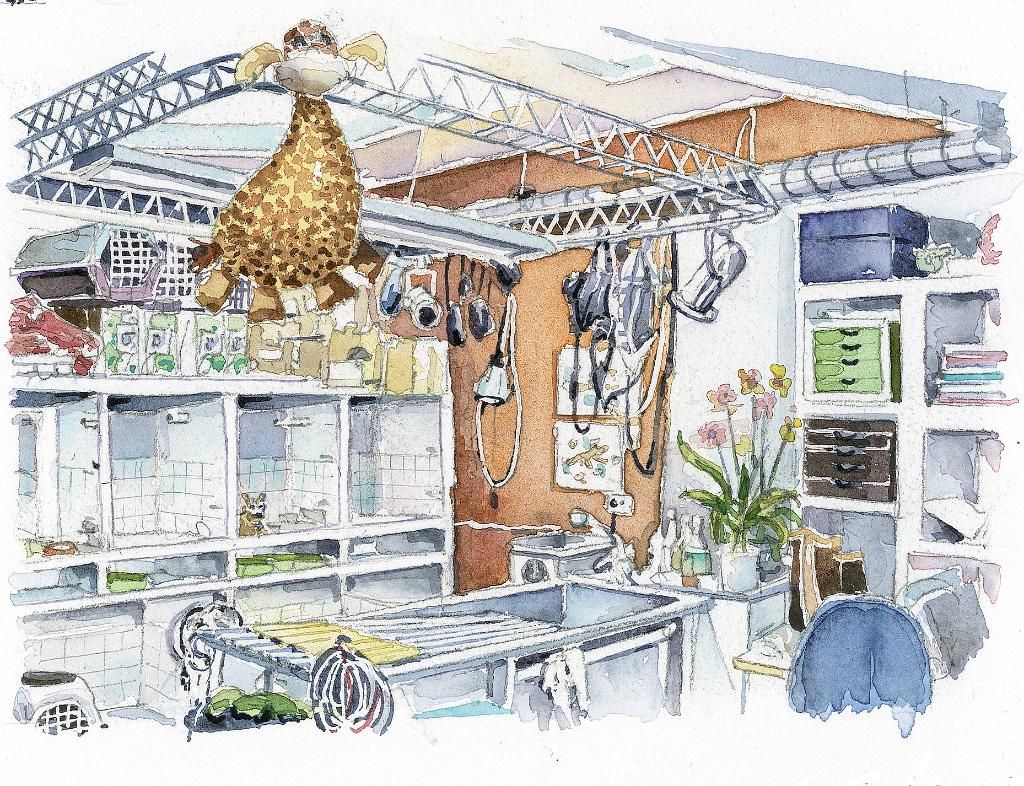 Photo d'illustration 4 sur 6