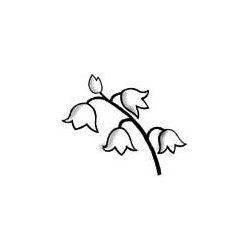 Photo d'illustration 1 sur 1