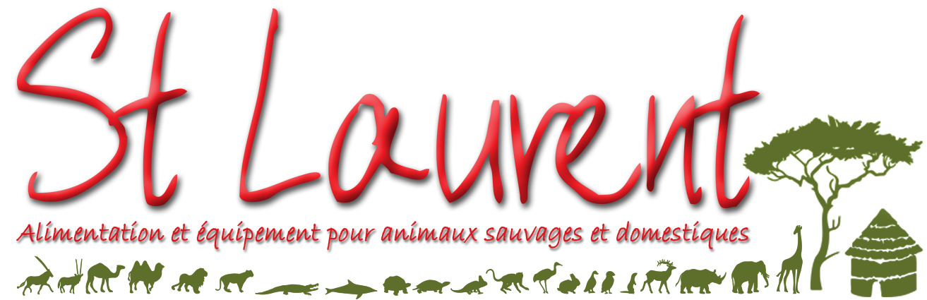 Photo d'illustration 3 sur 3