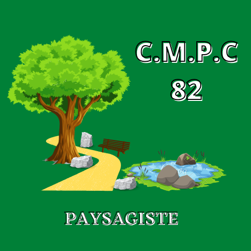 Photo d'illustration 1 sur 11