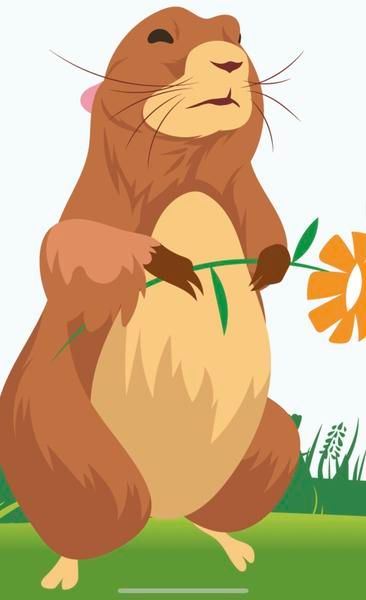 Photo d'illustration 1 sur 4