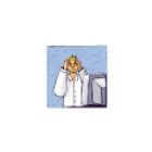Photo d'illustration 1 sur 8