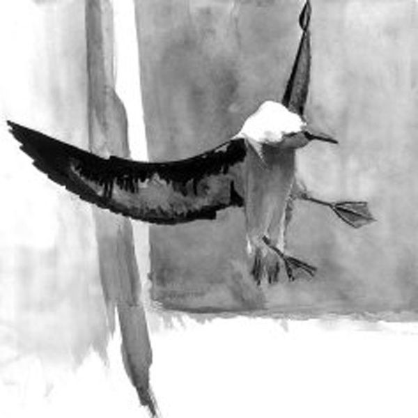 Photo d'illustration 1 sur 10