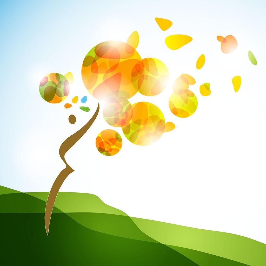 Photo d'illustration 3 sur 3