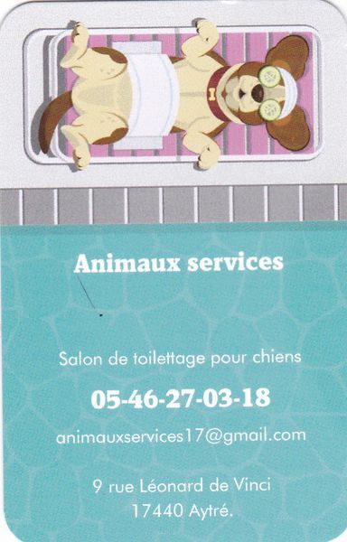 Photo d'illustration 1 sur 2