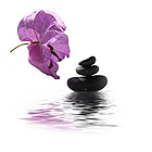 Photo d'illustration 1 sur 2