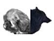 Photo d'illustration 1 sur 2
