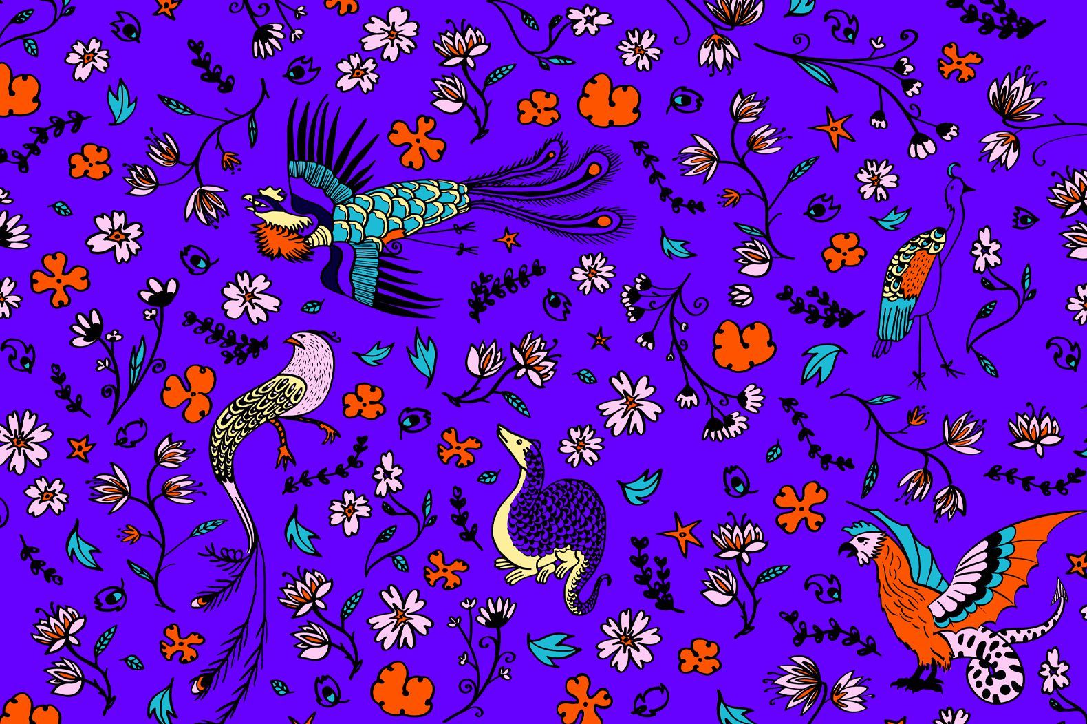 Photo d'illustration 2 sur 24