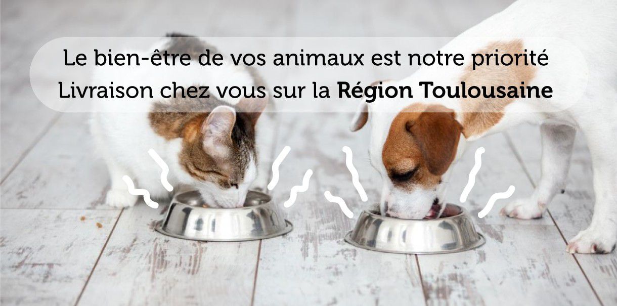 Photo d'illustration 2 sur 6