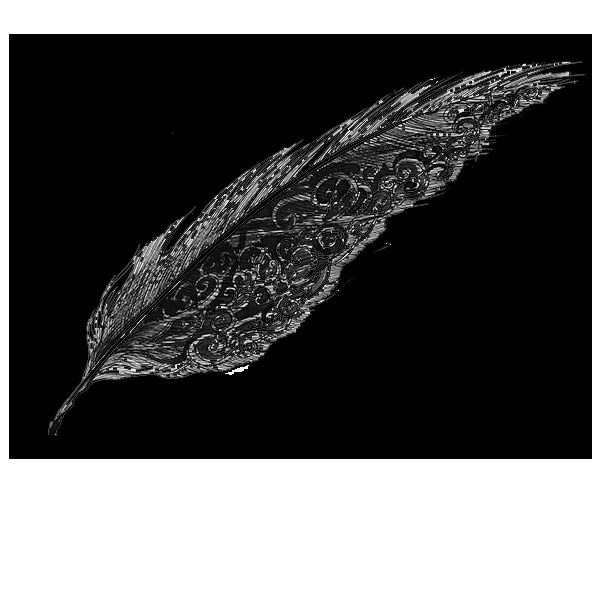 Photo d'illustration 1 sur 19