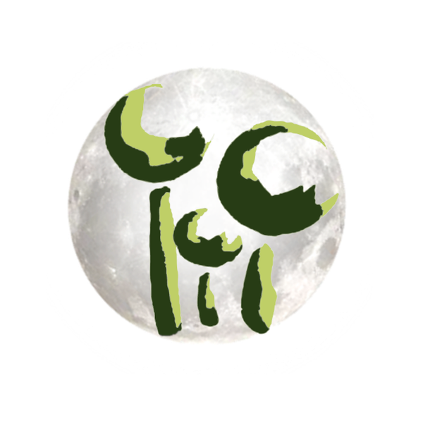 Photo d'illustration 1 sur 11