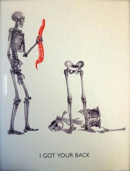 Photo d'illustration 4 sur 6